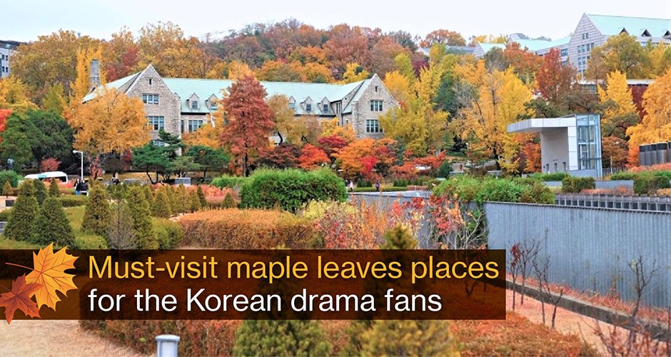 Must-visit maple leaves places for the Korean drama fans